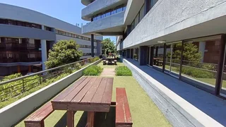 429sqm Prime Morningside Office Space for Rent with Stunning Views in Morningside