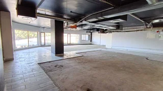 429sqm Prime Morningside Office Space for Rent with Stunning Views in Morningside
