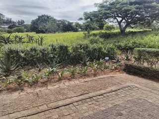Vacant Stand in Well Secure Estate