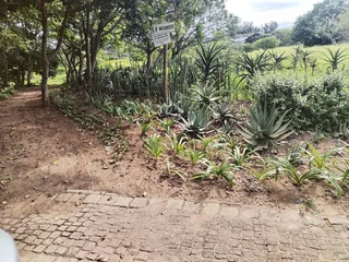 Vacant Stand in Well Secure Estate