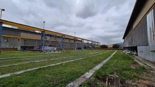 C11 -2,235sqm Factory with Cranes To Let - Roodekop