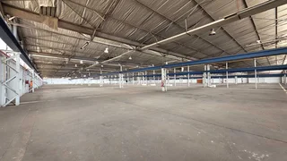 Large 13,000sqm facility TO LET in Elandsfontein