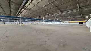 Large 13,000sqm facility TO LET in Elandsfontein