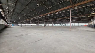 Large manufacturing/warehousing facility TO LET in Elandsfontein