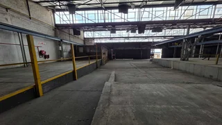 Large 13,000sqm facility TO LET in Elandsfontein