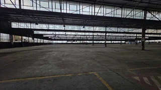 Large manufacturing/warehousing facility TO LET in Elandsfontein