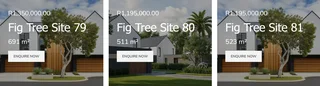 Fig Tree Village   Build Your Vision. Grow Your Wealth. Helmsley Country Estate – Phase 1