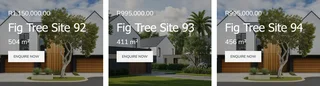Fig Tree Village   Build Your Vision. Grow Your Wealth. Helmsley Country Estate – Phase 1