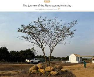 Flatcrown Village  Build Your Vision. Grow Your Wealth. Helmsley Country Estate – Phase 1