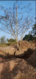 Flatcrown Village  Build Your Vision. Grow Your Wealth. Helmsley Country Estate – Phase 1