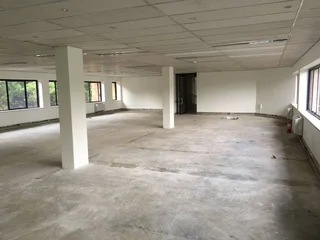 1000 sqm Office to Let in Bedfordview