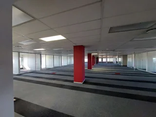 1141 sqm Office to Let in Bedfordview