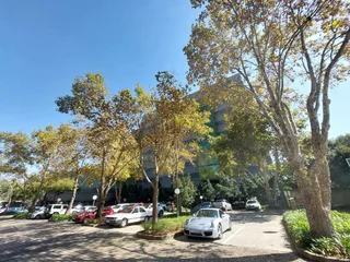 1141 sqm Office to Let in Bedfordview