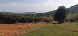 Farm For Sale in Tzaneen Rural, Tzaneen