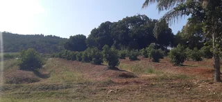 Farm For Sale in Tzaneen Rural, Tzaneen