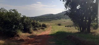 Farm For Sale in Tzaneen Rural, Tzaneen