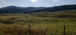 Farm For Sale in Tzaneen Rural, Tzaneen