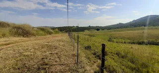Farm For Sale in Tzaneen Rural, Tzaneen
