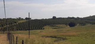 Farm For Sale in Tzaneen Rural, Tzaneen