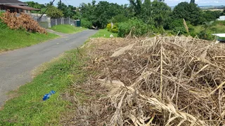 Build Your Dream Home