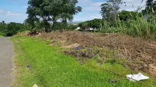 Build Your Dream Home