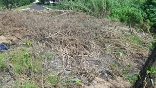 Build Your Dream Home