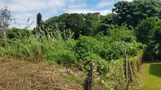 Build Your Dream Home