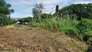 Build Your Dream Home