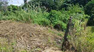 Build Your Dream Home