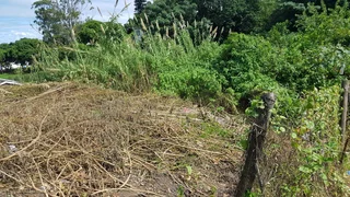 Build Your Dream Home