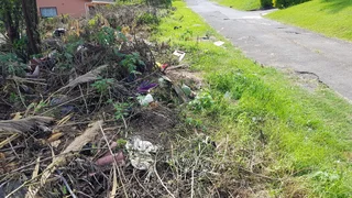 Build Your Dream Home