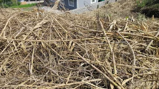 Build Your Dream Home