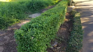 Vacant Land in a Secured, Gated Estate