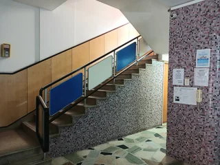 Bachelor Investment Opportunity