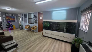 145m² Office To Let Lynnwood – Central Office Park With Fibre Connectivity