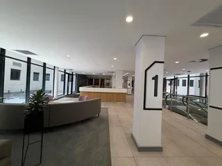 Prime 275m² Office Space to Let – 29 Scott Street, Waverley, Johannesburg
