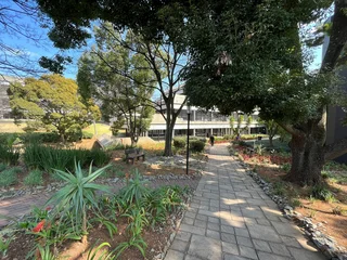 Commercial Property for Sale - Pellmeadow Office Park, Bedfordview