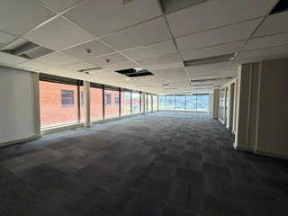 Prime 275m² Office Space to Let – 29 Scott Street, Waverley, Johannesburg
