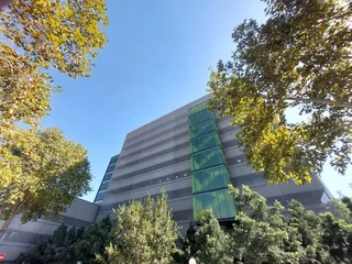 345 sqm office to Let in Bedfordview