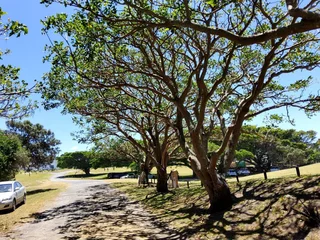 Vacant Land for Sale in a secure Cove Rock  Estate with plot and plan