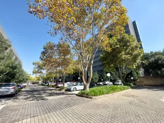 345 sqm office to Let in Bedfordview