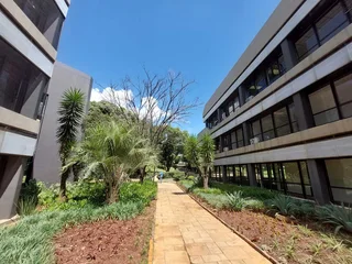 2074 sqm Office to Let in Bedfordview