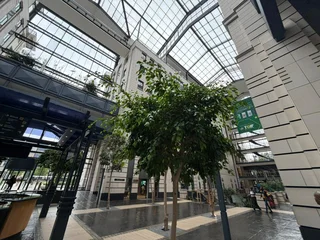 Prime Unit to Let at 135 Rivonia Road, Sandton Central