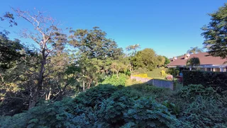 117sqm Office To Let in Kloof | Swindon Property