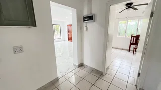 Small Family Pet Friendly Family Home