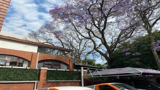 Prime 1059sqm Office For sale