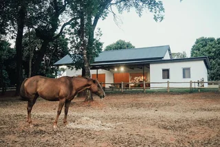 House For Sale in Doornhoek Equestrian Estate, Doornhoek, Tzaneen