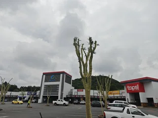 220 Sqm Retail Space To Let In Lynnwood Ridge With Main Road Exposure