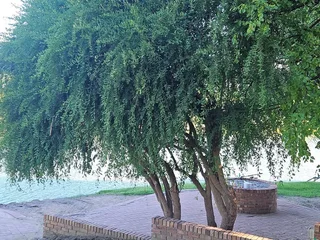 Double storey four bedroom thatch house on the banks of the Vaalriver