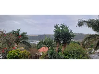 Huge One Bedroom Lounge Big Kitchen And Spacious Shower  Available  Immediatley  Or A Border In H...